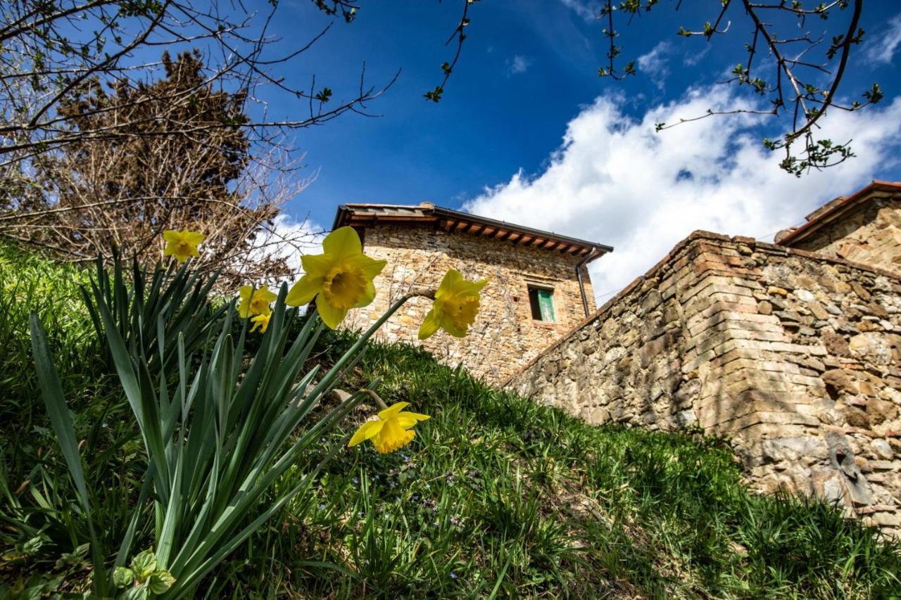 ホテル Campora House Tavarnelle Val di Pesa エクステリア 写真