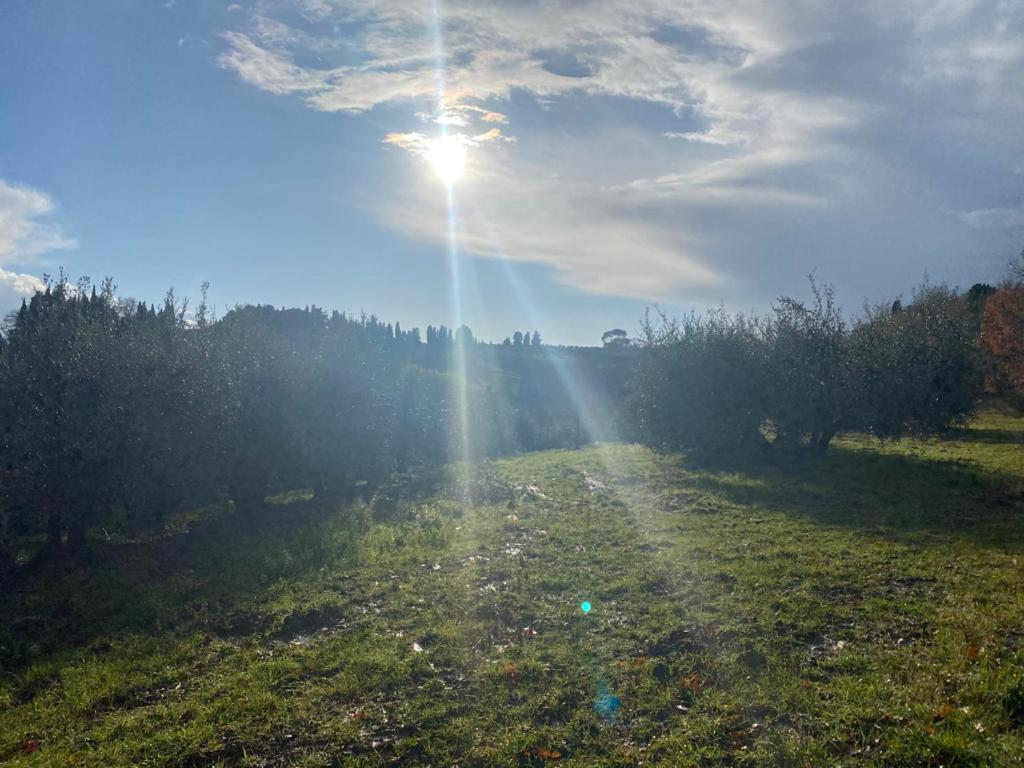 ホテル Campora House Tavarnelle Val di Pesa エクステリア 写真