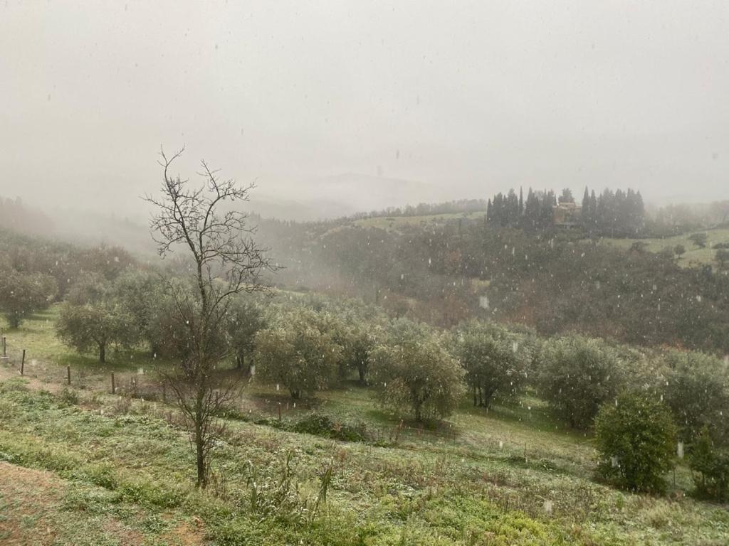 ホテル Campora House Tavarnelle Val di Pesa エクステリア 写真