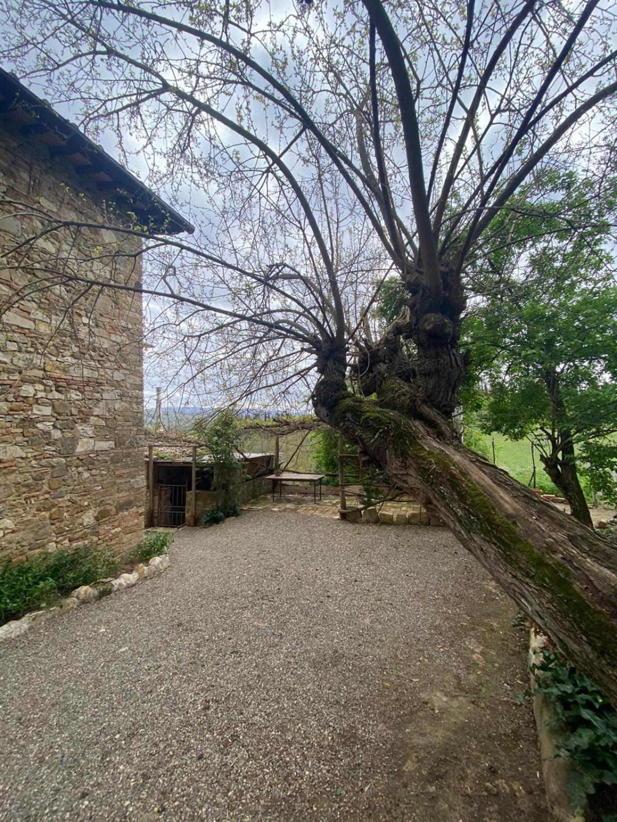 ホテル Campora House Tavarnelle Val di Pesa エクステリア 写真